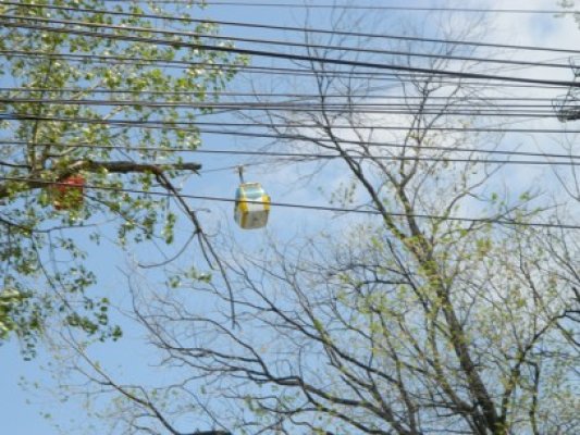 Staţiunea Mamaia: s-a făcut plajă, au mers telegondolele şi s-a mâncat mielul adus de acasă la iarbă verde